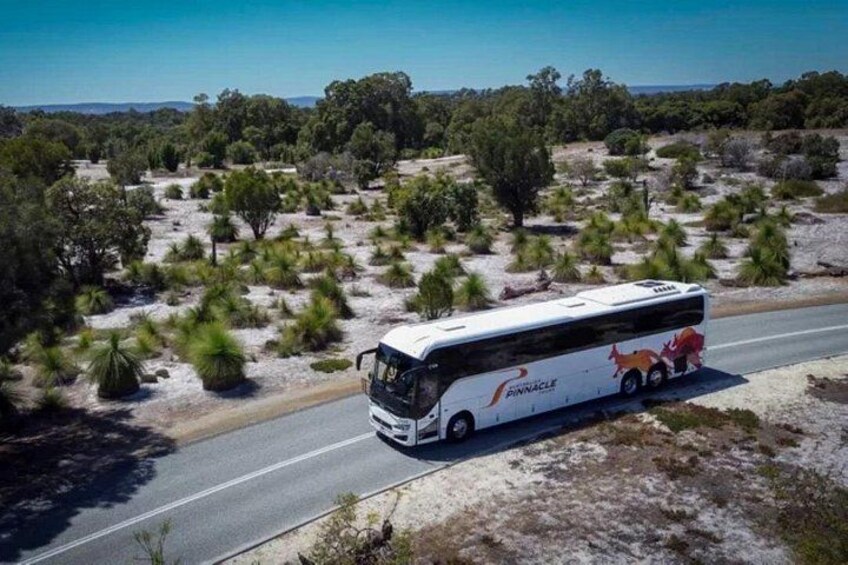 Pinnacles Desert, Koalas and Sandboarding 4WD Day Tour from Perth 3