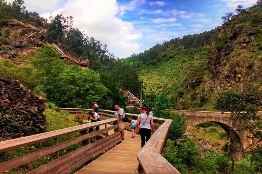 The wooden boardwalk! 4
