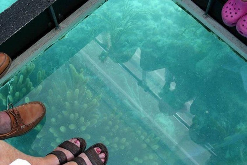 Underwater viewing 2