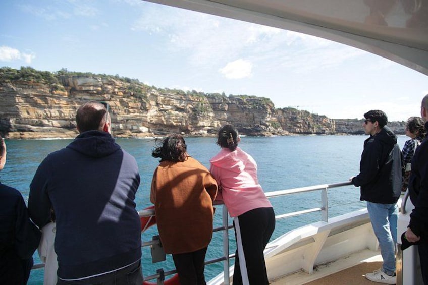 Sydney Whale Watching - 2.5hr Discovery Cruise 2