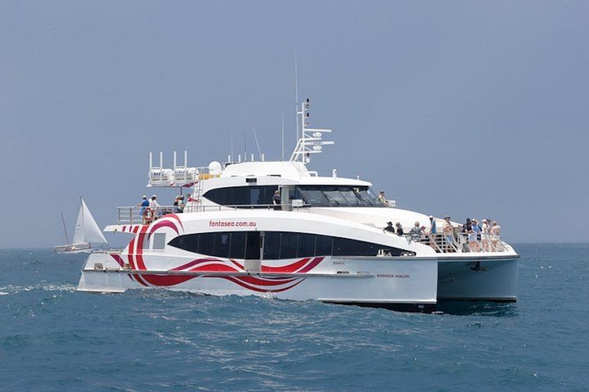 Sydney Whale Watching - 2.5hr Discovery Cruise 4