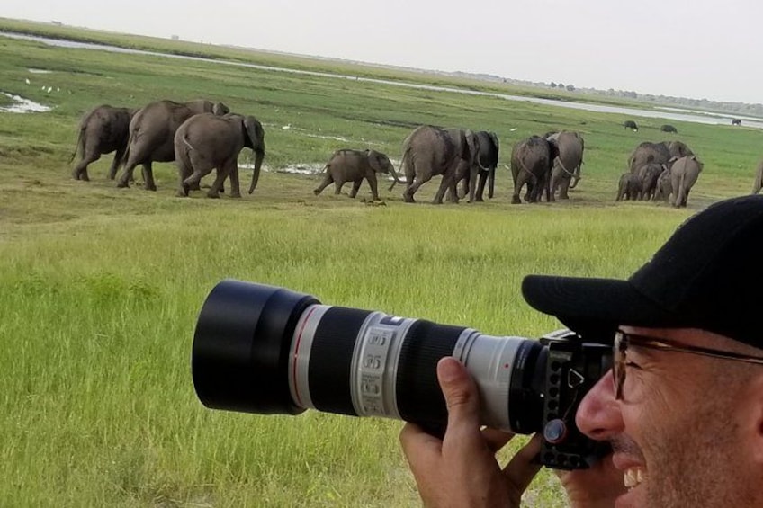 A person with a camera, a grassy field, and a herd of elephants in the background. 2