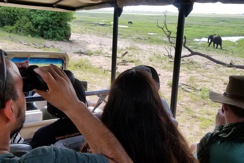 A safari vehicle with passengers observing wildlife. 4