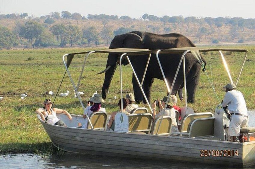Chobe Boat cruise in Chobe National Park 1