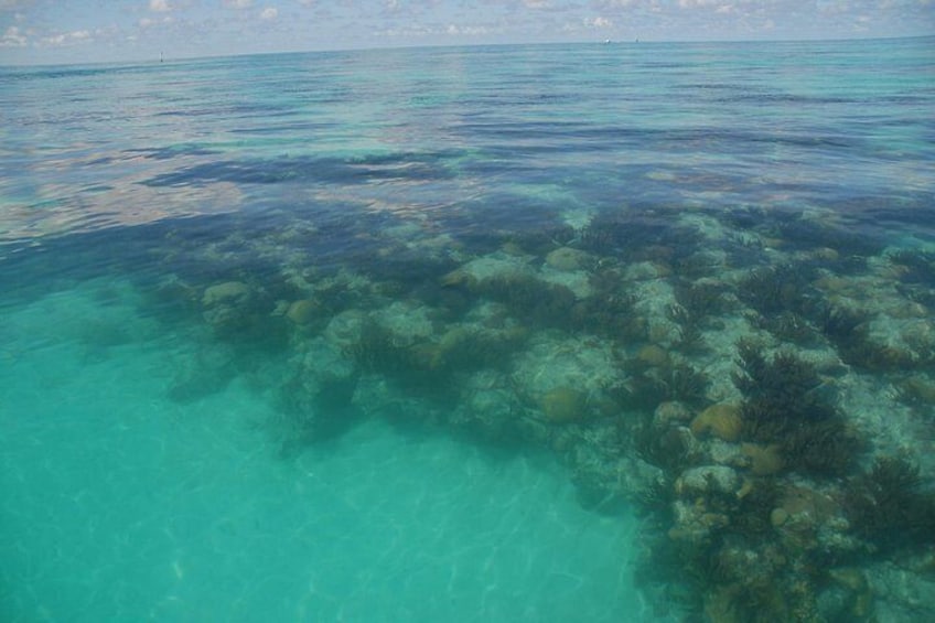Glass Bottom Boat and Snorkeling Combo in Bermuda 2