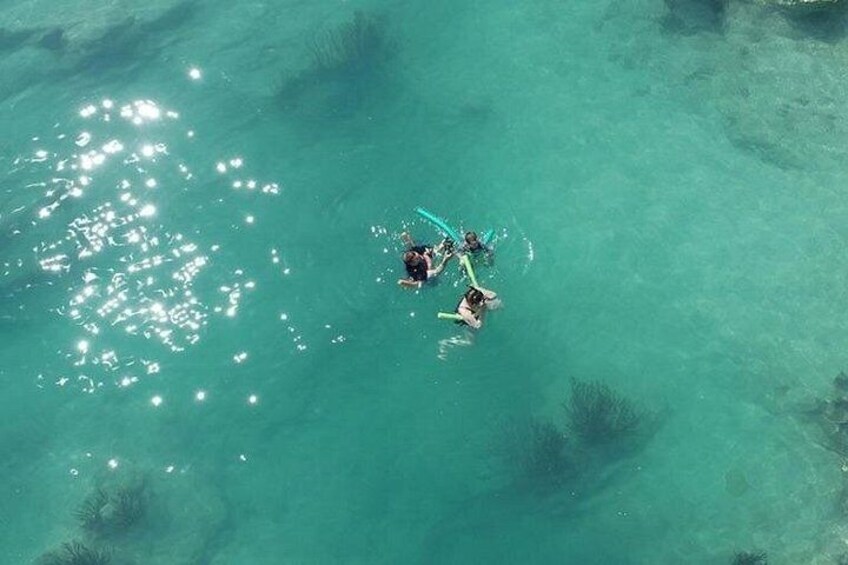 Glass Bottom Boat and Snorkeling Combo in Bermuda 3