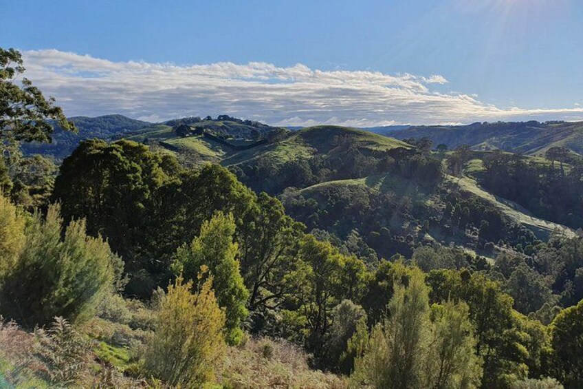 Explore the hills of the Otway Ranges 2