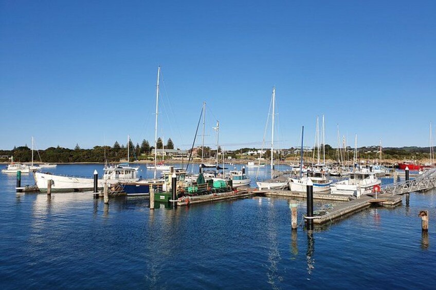 A marina with various boats docked, calm water, and a clear blue sky. 2
