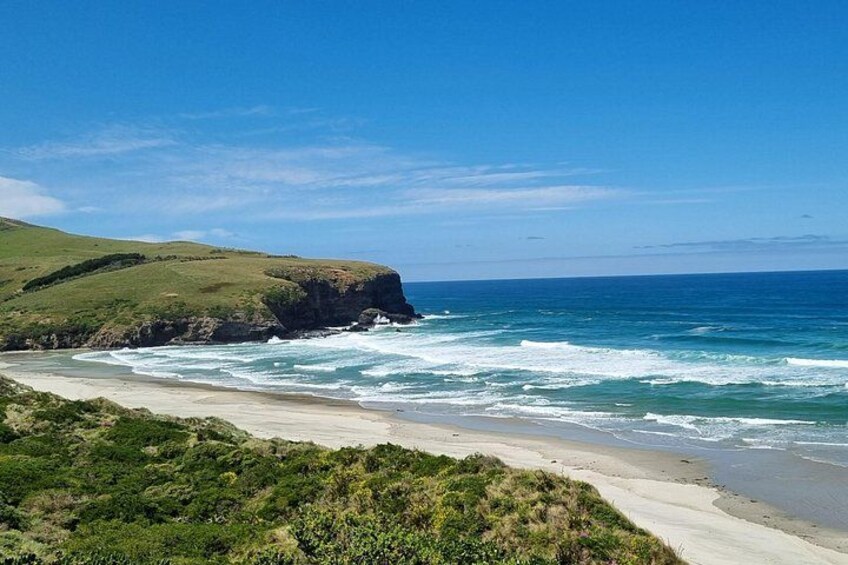 Un paisaje costero con una playa arenosa, colinas verdes y el océano. 5