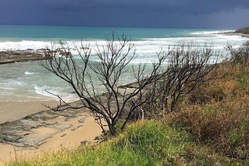 Rugged and beautiful coastline of Southern Australia 3