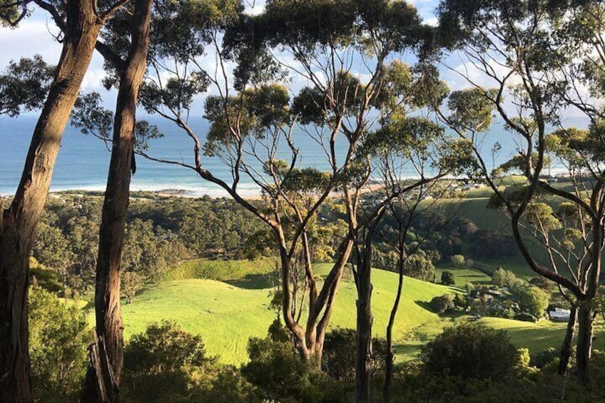 View from Chris's Villas and Restaurant, Skenes Creek, Great Ocean Road. 2