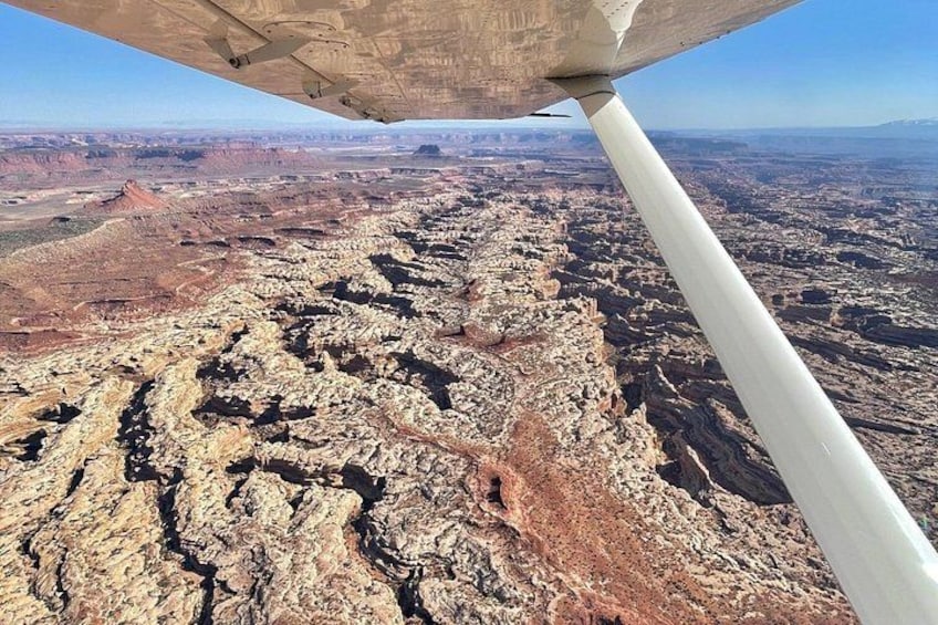 Needles District 2