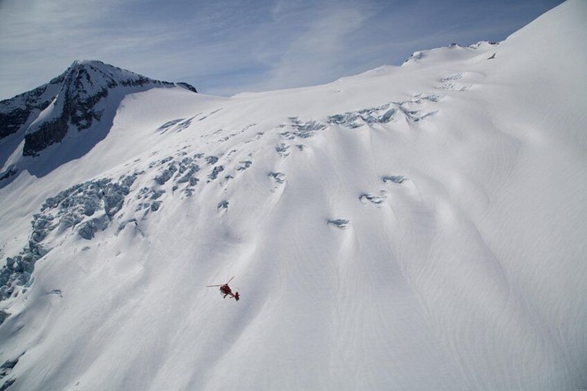 Private Whistler Helicopter Tour + Mountain Landing 5