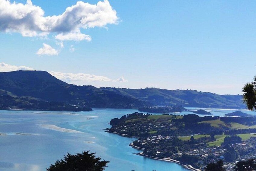 Otago Harbour 2