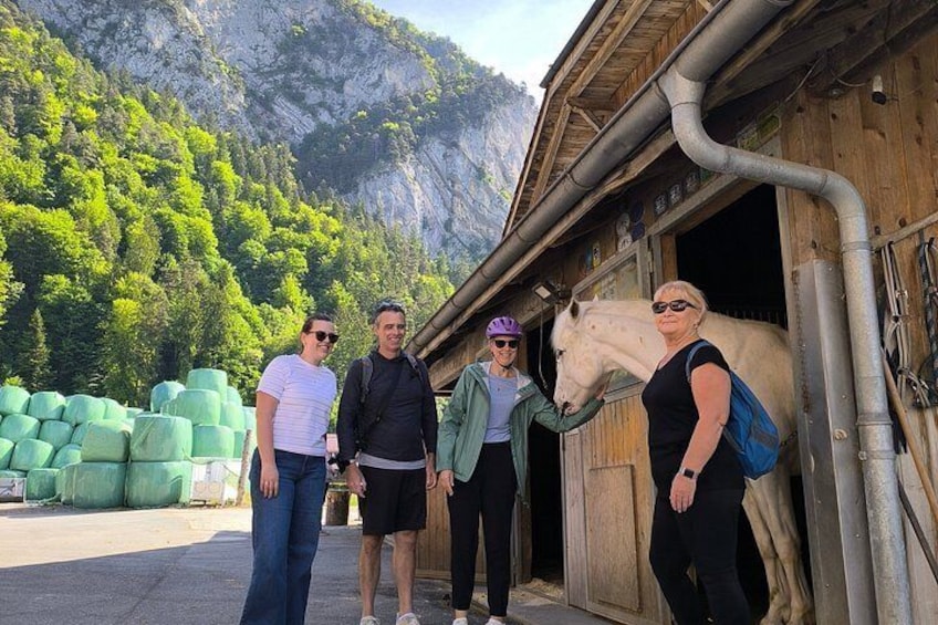 A group of people near a wooden building with hay bales and a horse in the background. 4