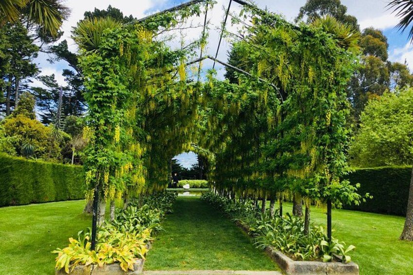 Castle Gardens 4