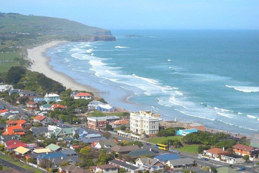 St Clair, Dunedin 1