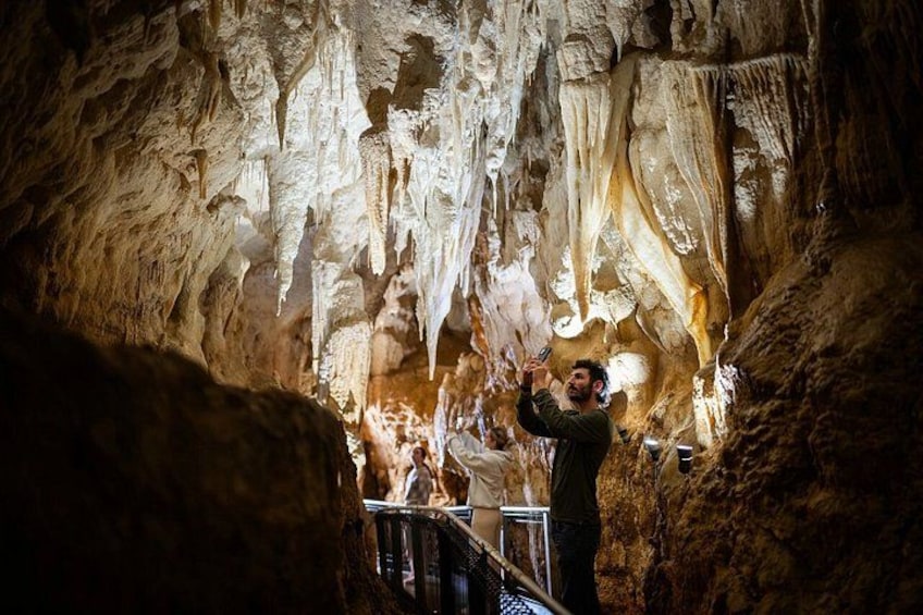 90-Minute Guided Ruakuri Cave Tour Waitomo 1