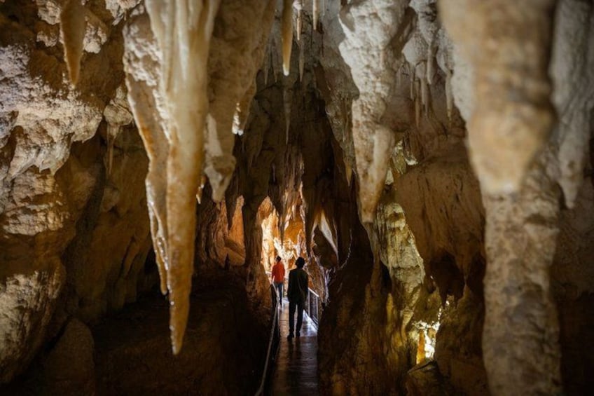 90-Minute Guided Ruakuri Cave Tour Waitomo 2