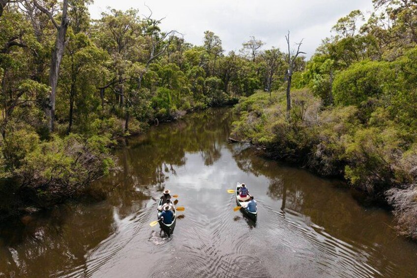 Two kayakers paddling through a river surrounded by dense greenery. 3