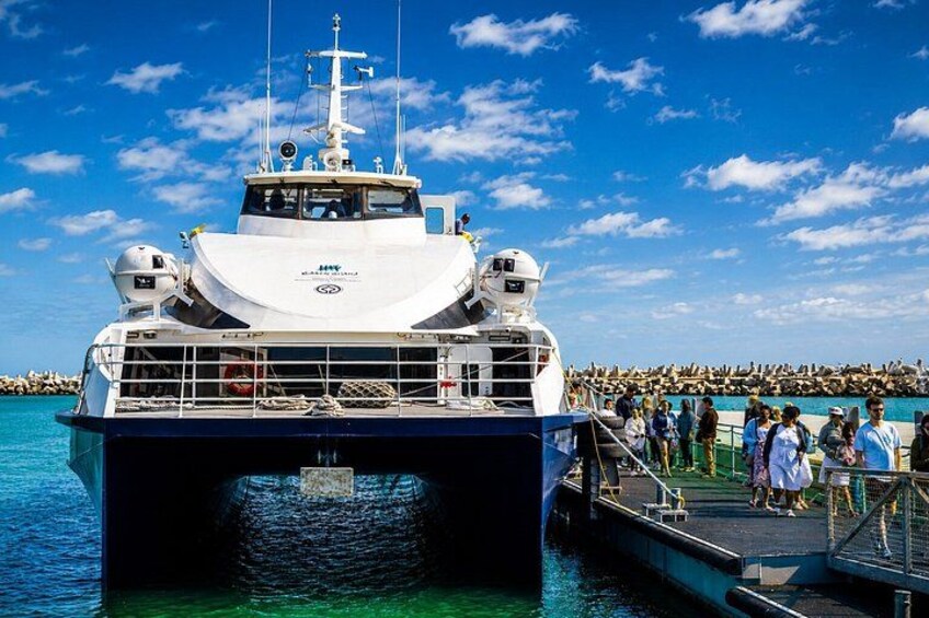 A large white boat docked at a pier with a crowd of people on the pier and a clear blue sky in the background. 2