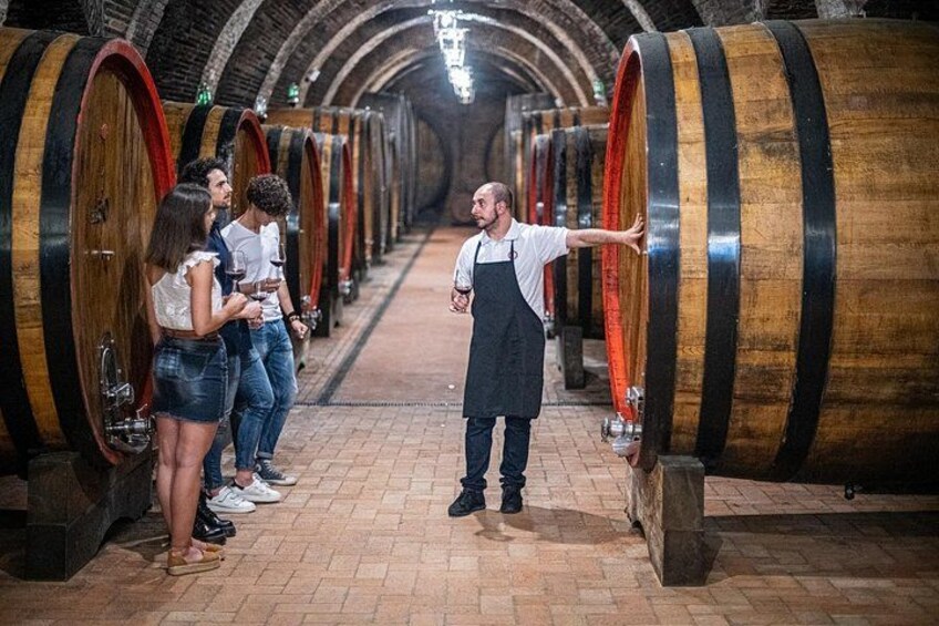Tour of the historical cellars in Montepulciano 2