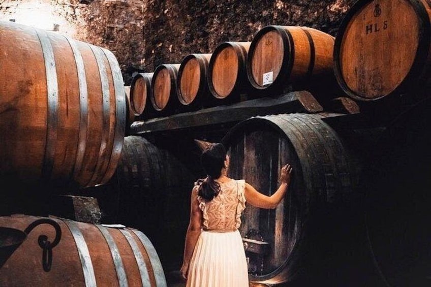 Tour of the historical cellars in Montepulciano 1