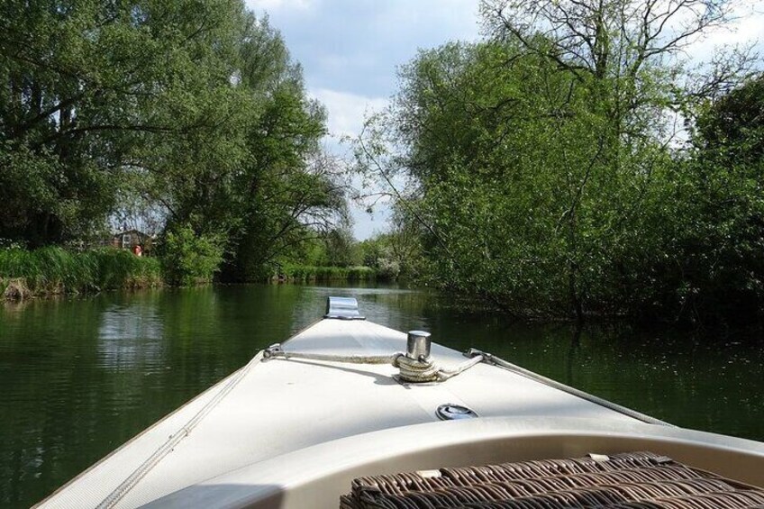 A narrow waterway flanked by dense green trees. 4