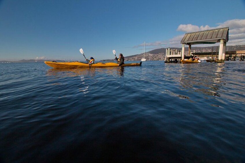 Kayaking on the River Derwent in Hobart 2