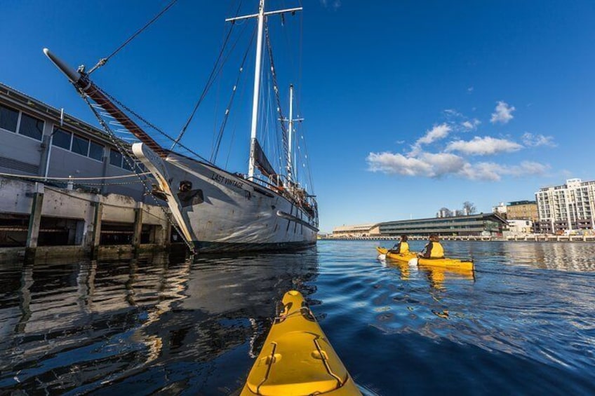 Exploring the Hobart Waterfront on kayaks