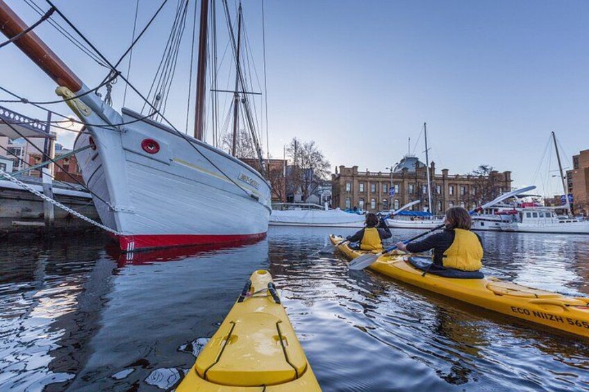 Exploring the Hobart Waterfront on kayaks 2