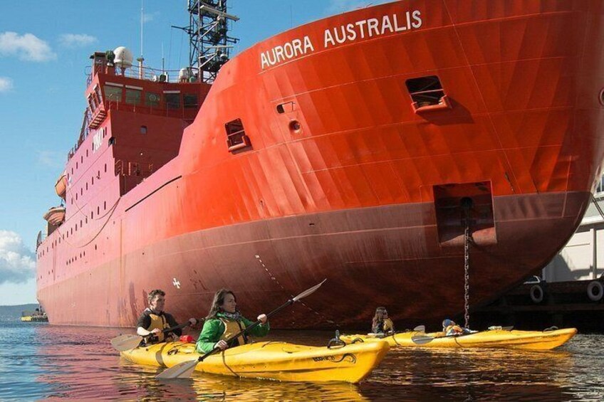 Ein großes, rotes Schiff namens 'AURORA AUSTRALIS' mit Personen in gelben Kajaks in der Nähe. 2