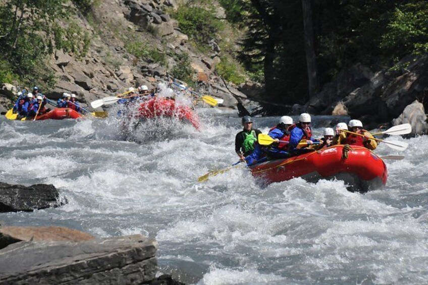 Half-Day Whitewater Rafting in Revelstoke 2