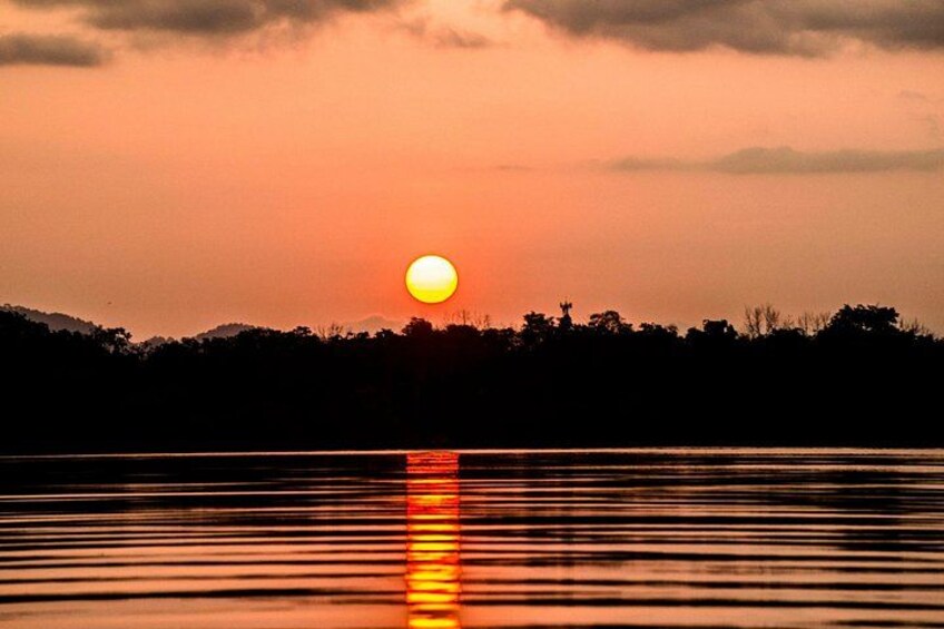 Bio-Luminescence and Sunset Kayak Tour 3
