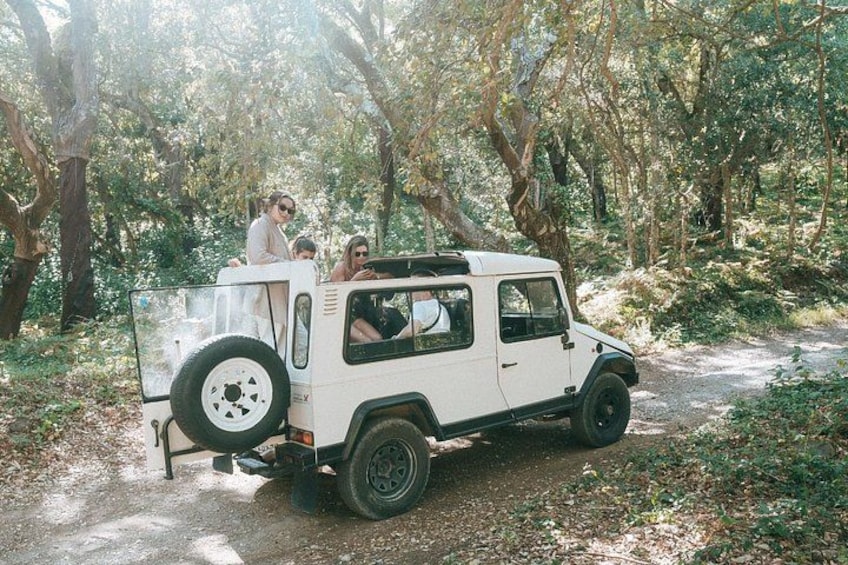 Sintra Jeep Safari 3