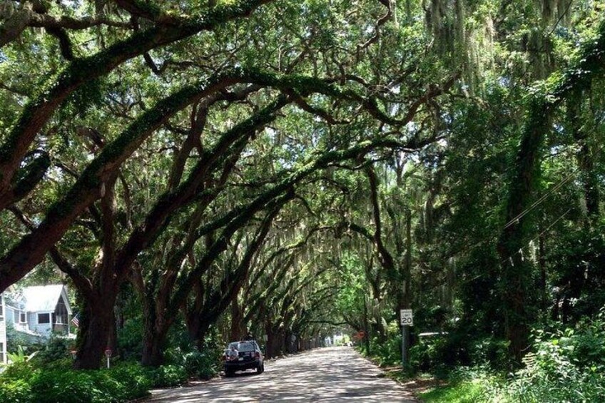 Private Guided Historic Electric Cart Tour of St. Augustine 5
