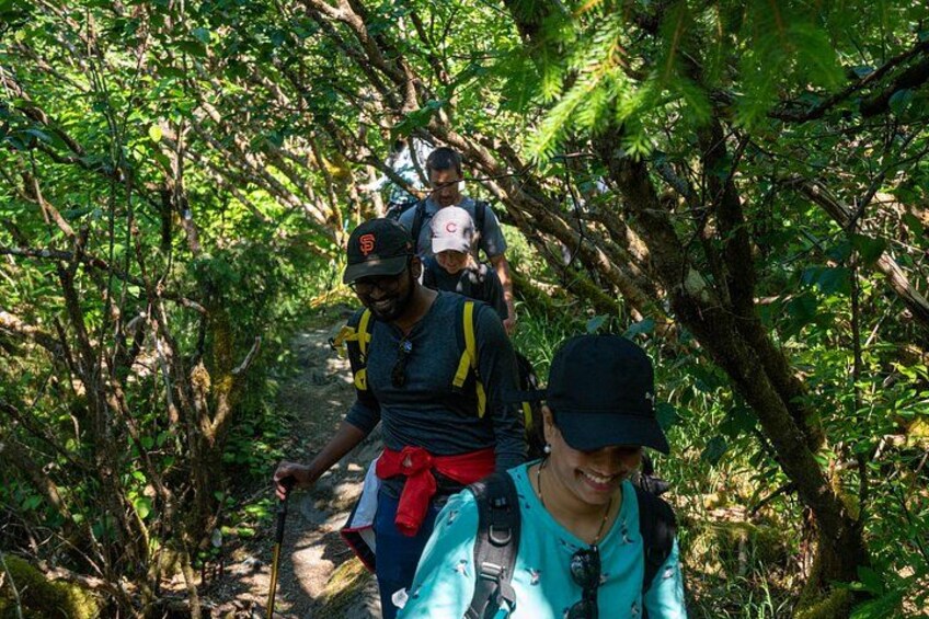Mendenhall Glacier Trail 3