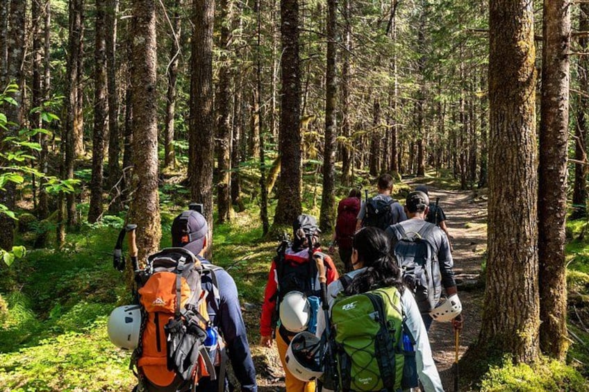 A group of hikers on a forest trail with backpacks and hiking gear. 3