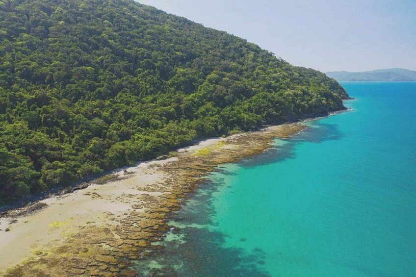 Cape Tribulation Day Tour from Cairns 4