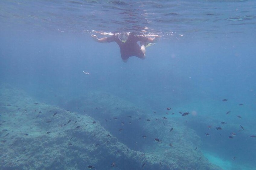 Mallorca: Snorkeling in a Beautiful Nature Reserve 4
