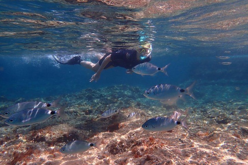 Eine Person schwimmt unter Wasser mit Fischen. 1