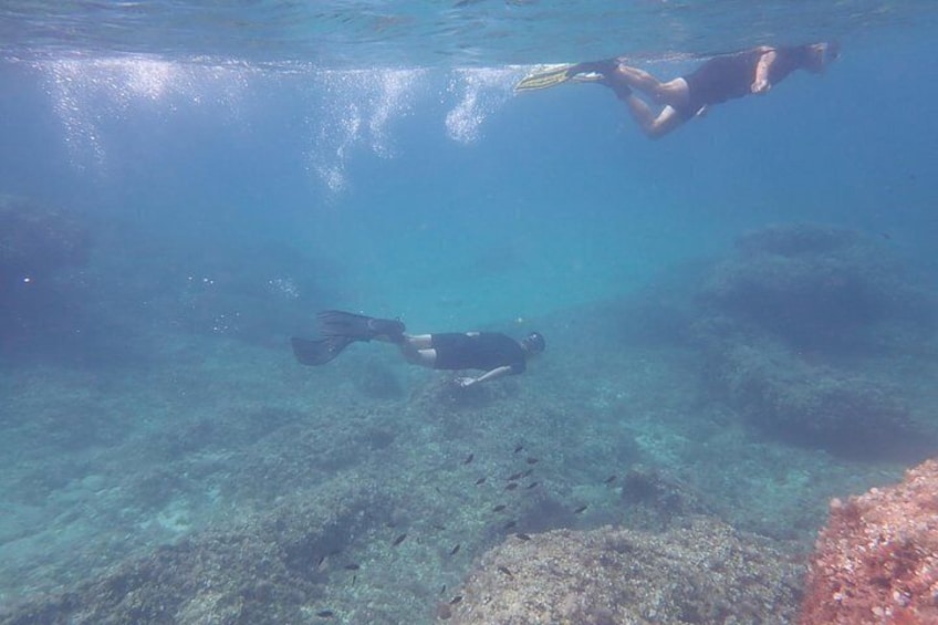 Mallorca: Snorkeling in a Beautiful Nature Reserve 2