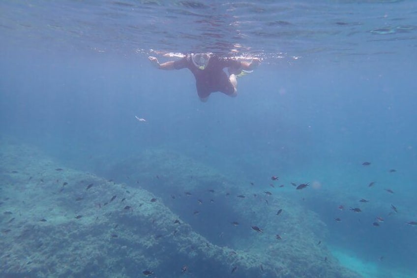 Ein Taucher schwimmt unter Wasser mit einem Fischschwarm. 2