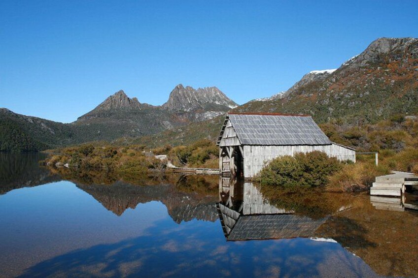 Cradle Mt National Park 3
