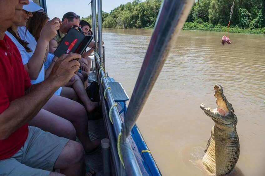 Een boot met mensen die een krokodil in het water bekijken. 2