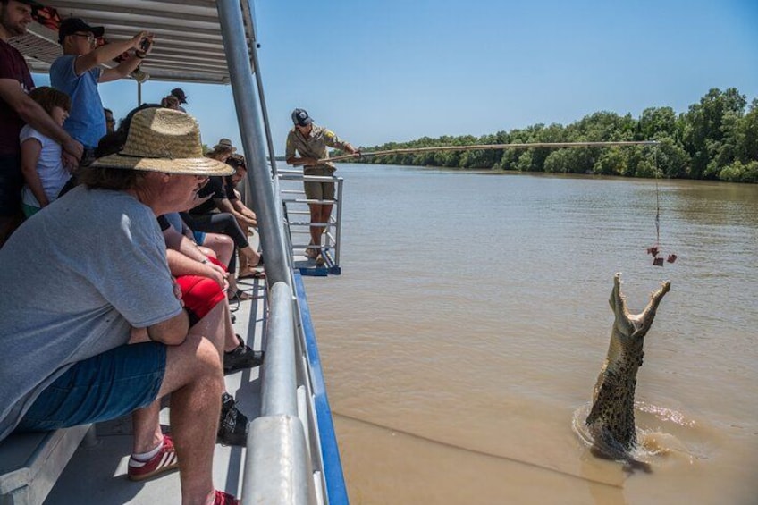 1 Hour Jumping Crocodile Cruise on the Adelaide River 2