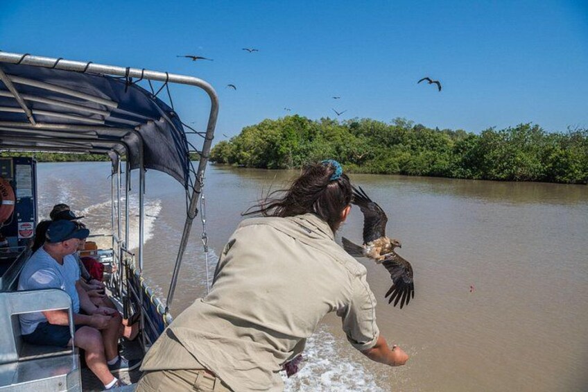 Een boot met passagiers, een gids in een beige shirt, en een rivier omzoomd met mangrovebomen. 2