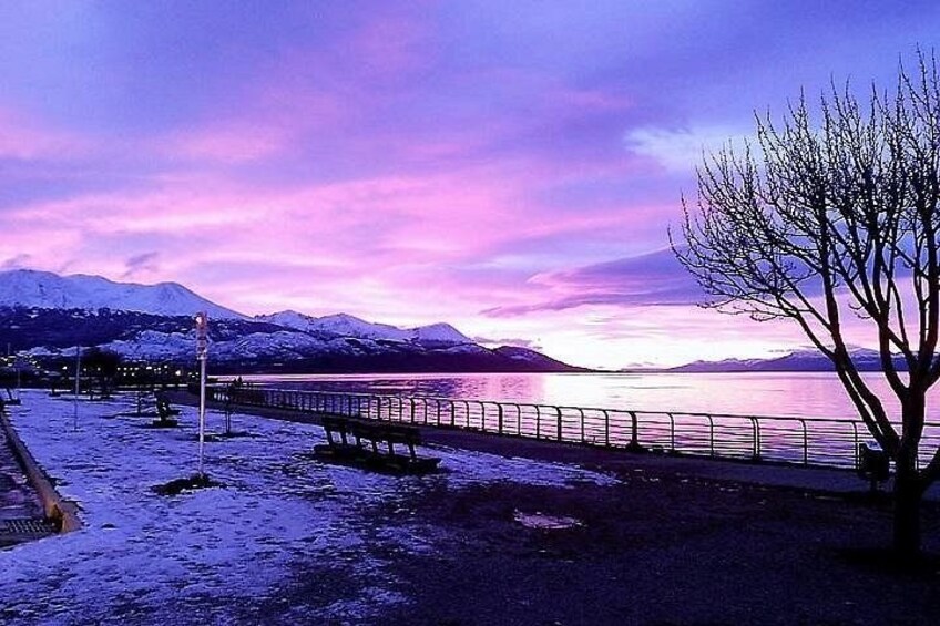 Ushuaia city 5