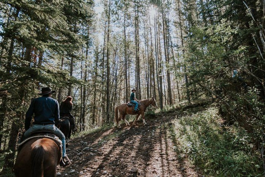 Sentiero nella foresta con cavalieri a cavallo. 4