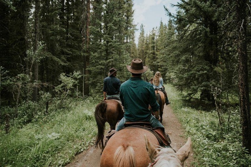Un gruppo di persone cavalca lungo un sentiero nella foresta. 1